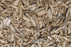biomass boilers Long Meadow